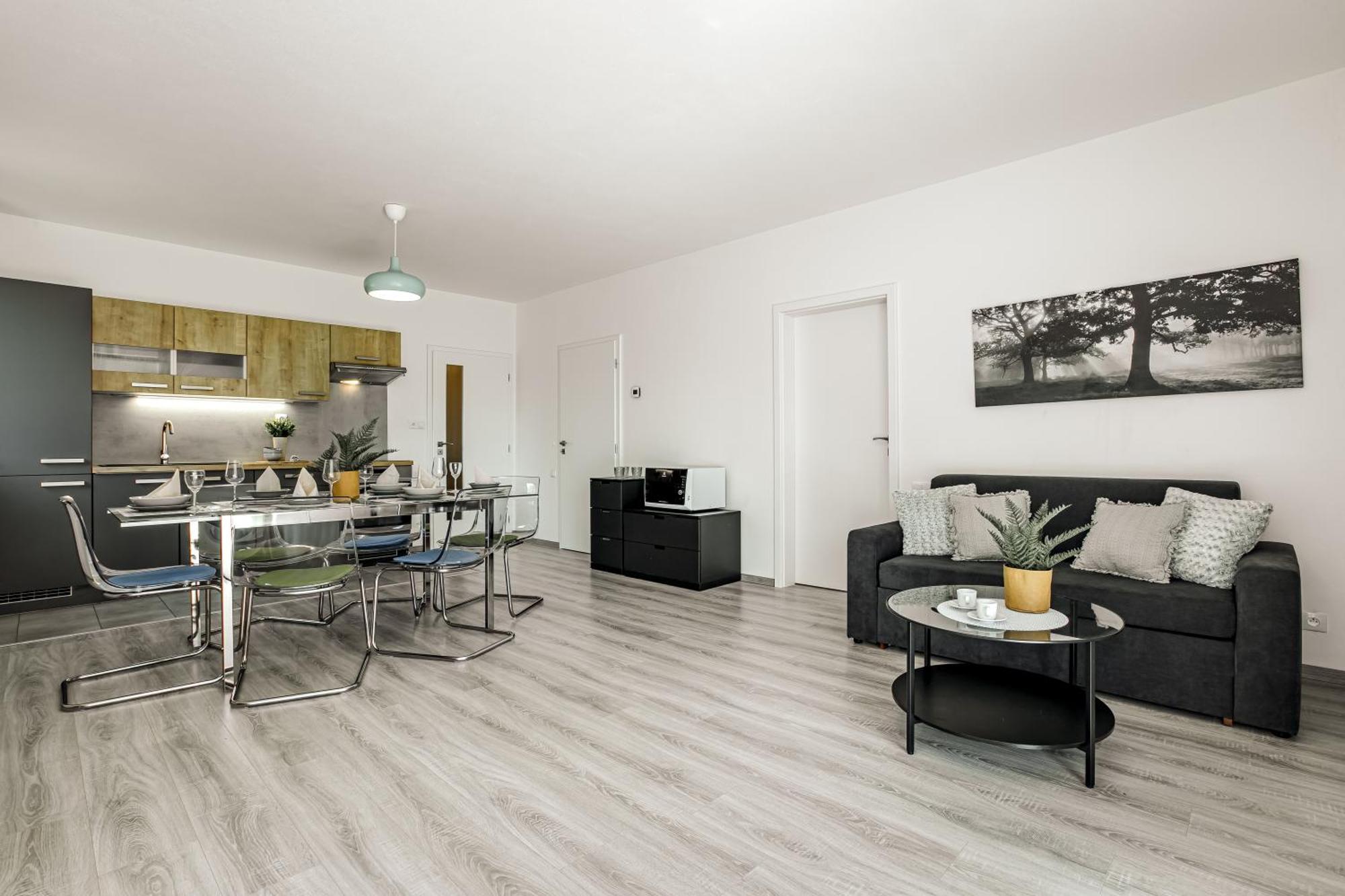 Korzo Lipno Apartment Lipno nad Vltavou